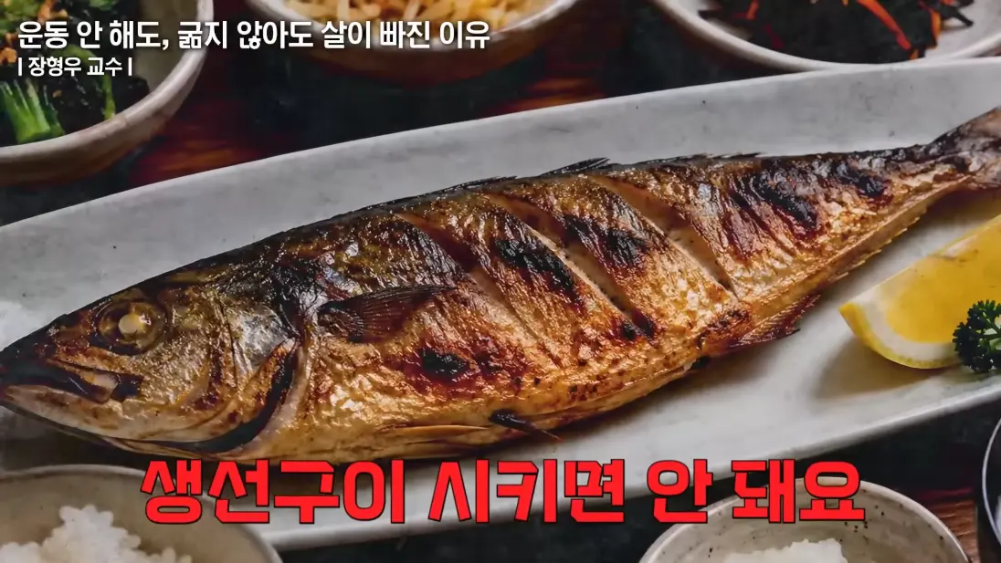 건강구조대 - 처참하게 속았다 너무 쉽게 40KG 감량하고 분노한 서울대 의대 교수의 고백 (장형우 교수 1부) [s2On9lXpVjE - 1096x617 - 18m30s].png