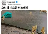 오리의 기묘한 미스테리