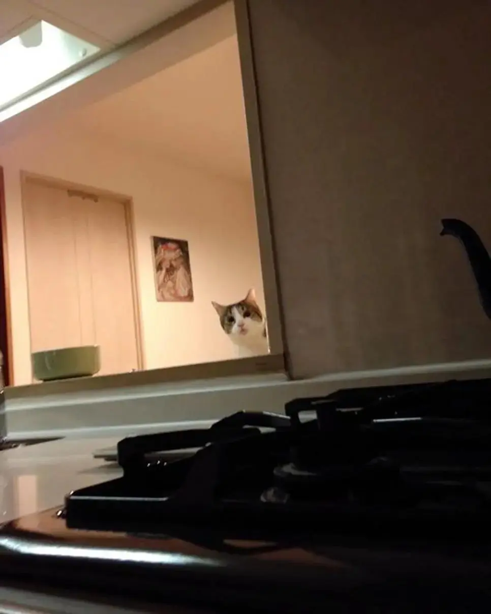 DM_20260729061414_002.jpeg