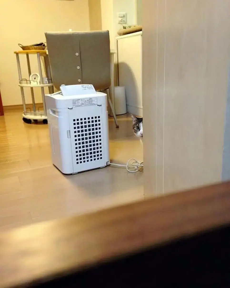 DM_20260729061414_003.jpeg