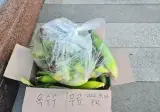 현재 강원도 상황이라는데 진짜야?