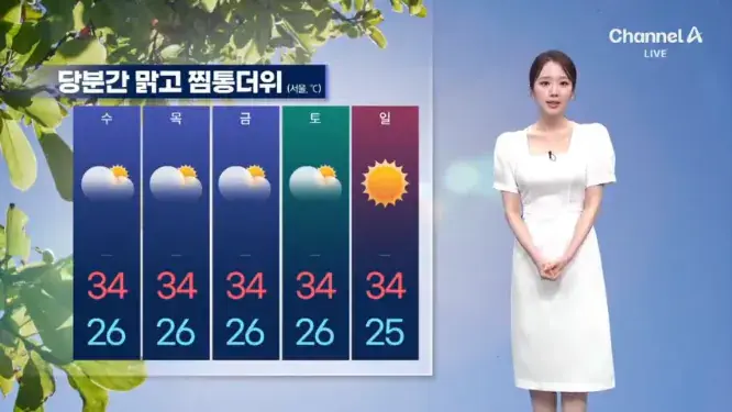 Screenshot 2026-07-29 at 06-45-09 날씨 서울 2주 만에 ‘다시 폭염경보’…내일 최고 34도 체감 36도.png [날씨] 전국에 폭염특보