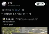 구마모토 지진에서 다리가 부셔진게 토목공사의 승리라는 일본인