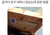길 가다 친구 어머니 만났는데 칭찬 받음.jpg
