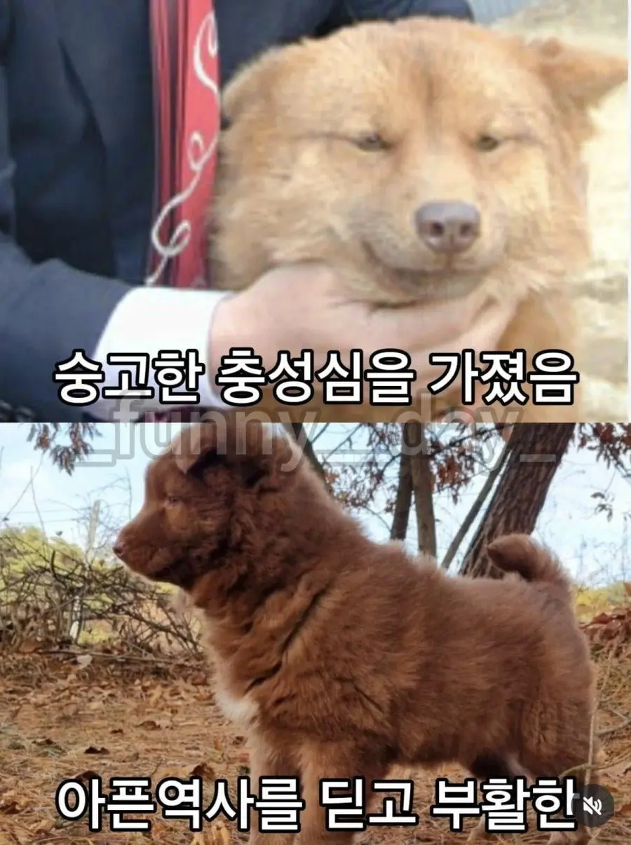 20260730170536_jImTCao2zn.jpg