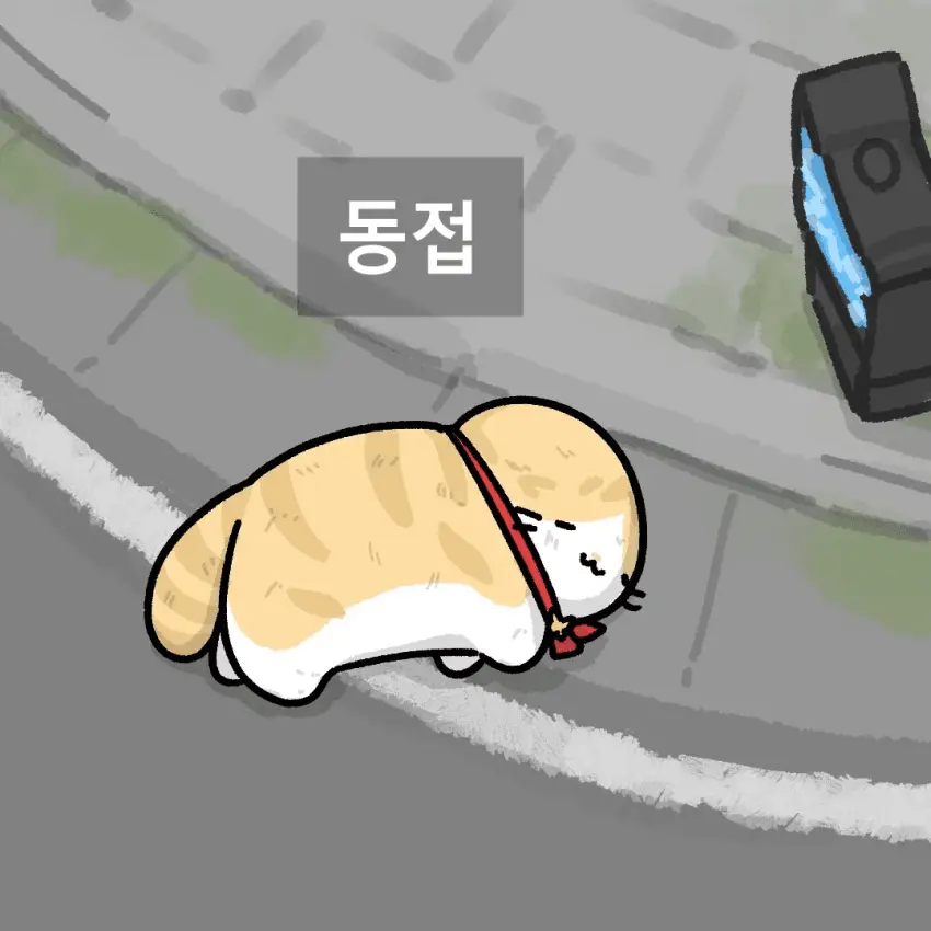 1785253627.png