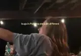 ㅎㅂ) 남미 하늘소 크기 ㅎㄷㄷ
