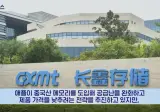 CXMT: 내 메모리가 싸다고???