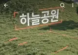 유튜브 알고리즘에 뜬 채널