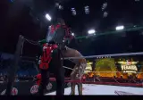 WWE AAA 베라노 드 에스칸델로 20226 2주차 간략 녹화결과