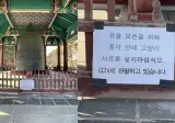 캣맘 고양이밥 주는 위치선정 레전드