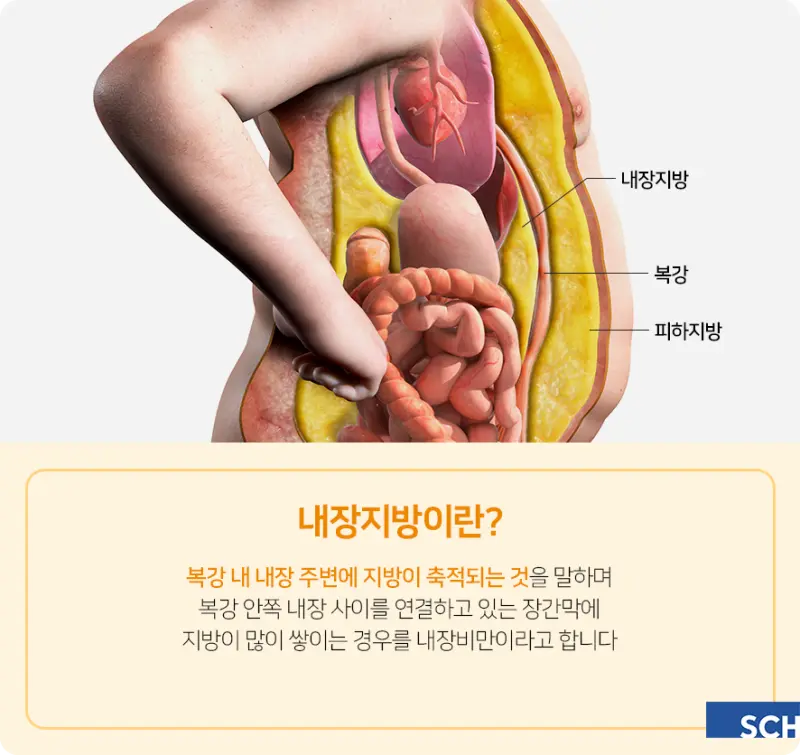 내장지방_빼는_법_뜻_(2).png