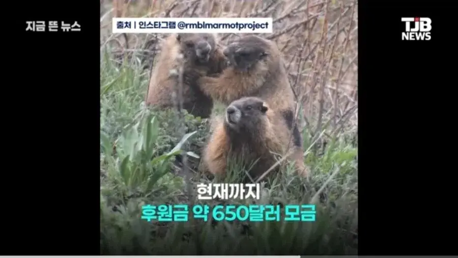 14545.webp 온리팬스 가방끈 근황