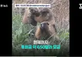 온리팬스 가방끈 근황
