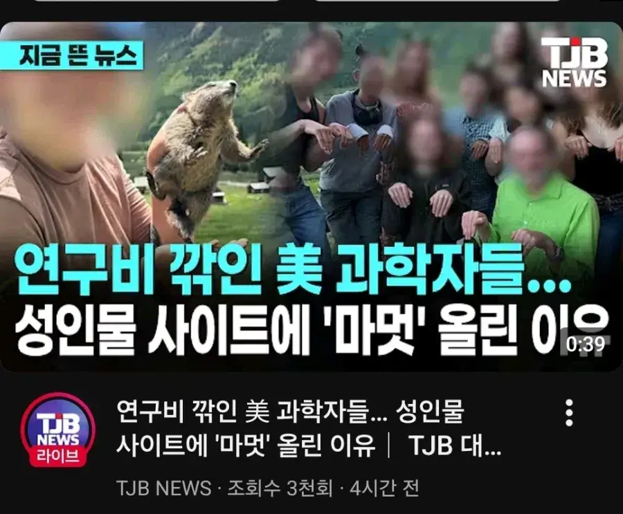 14544.webp 온리팬스 가방끈 근황