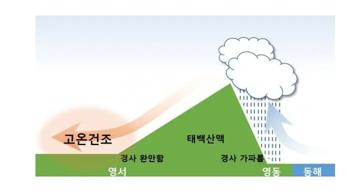 푄현상.jpg