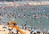 해운대 오늘자 인파 사진