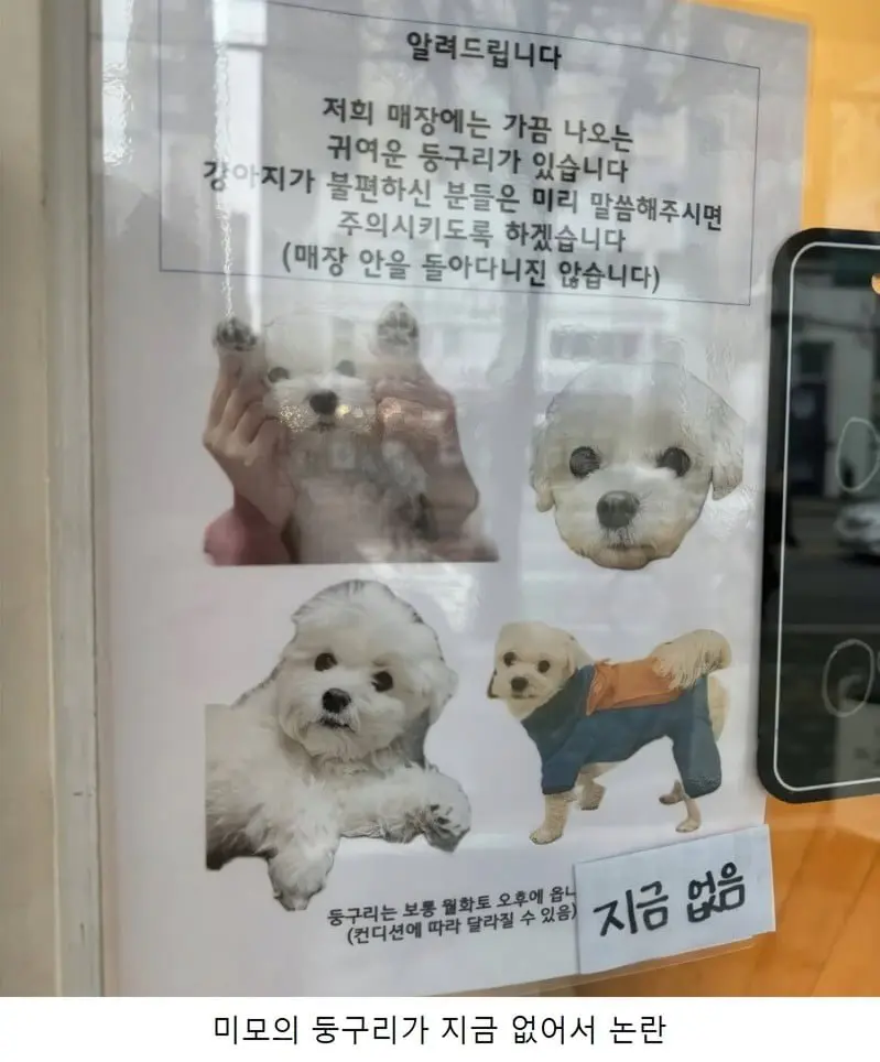 20260803112922_2I1pocVccN.png