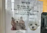 매장 내 강아지 논란.jpg
