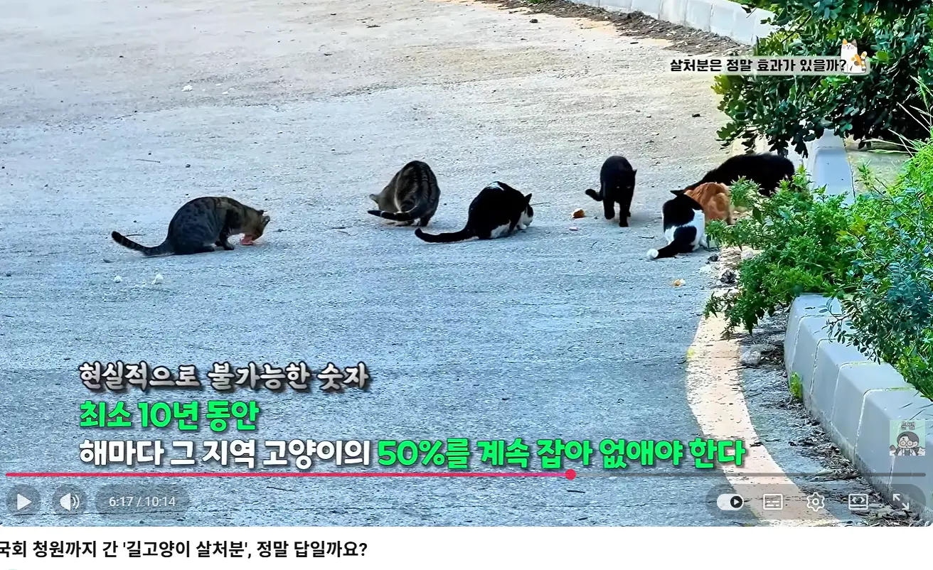 화면 캡처 2026-08-04 014715.png
