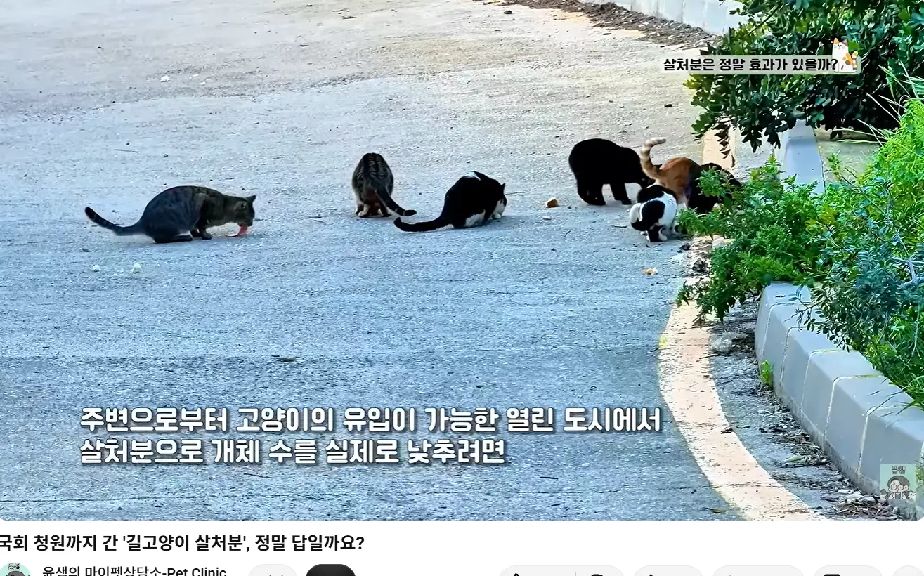 화면 캡처 2026-08-04 014630.png
