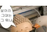 불교) 마음이 편안해지는 부처님 밈 모음.jpg
