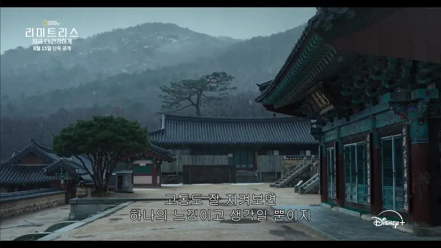 19fc7a7b67950e09c.webp