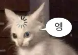 "지구 온난화 오면 에어컨으로 버티면 되는거 아님? ㅋㅋ"