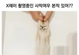 엑스레이 촬영중인 사막여우 본적있어??