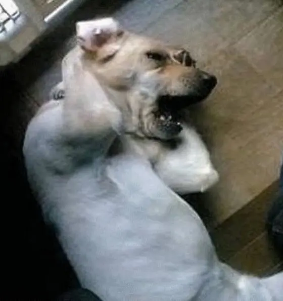 20260805092127_ZZUaUqZMLO.png