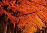 8월 7일부터 가을입니다.