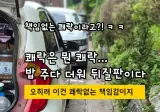 책임없는 쾌락이란 말에 빡친 털바퀴맘.. ㄷㄷㄷ.jpg