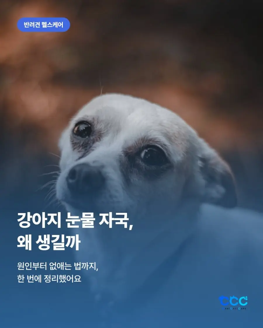 20260805150457_n0BIsnyxDS.png