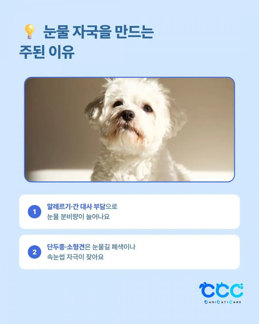 20260805150501_Dpa3aWA5d0.png