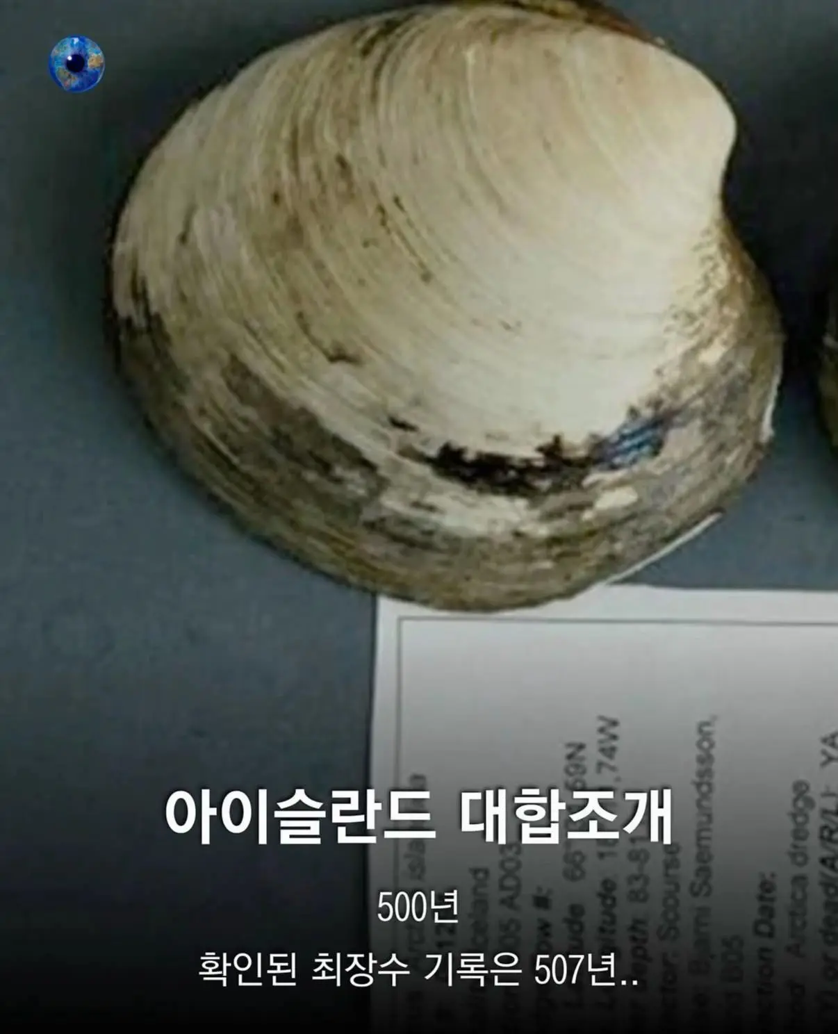 AhaTok_eartheye.kr_154a8317-bb81-4a89-85f3-9a679ee79915_.jpg