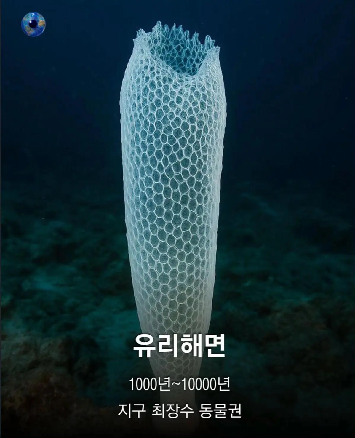 AhaTok_eartheye.kr_e53c9b6f-1ca8-4468-9ac9-4f13cfed5a2a_.jpg