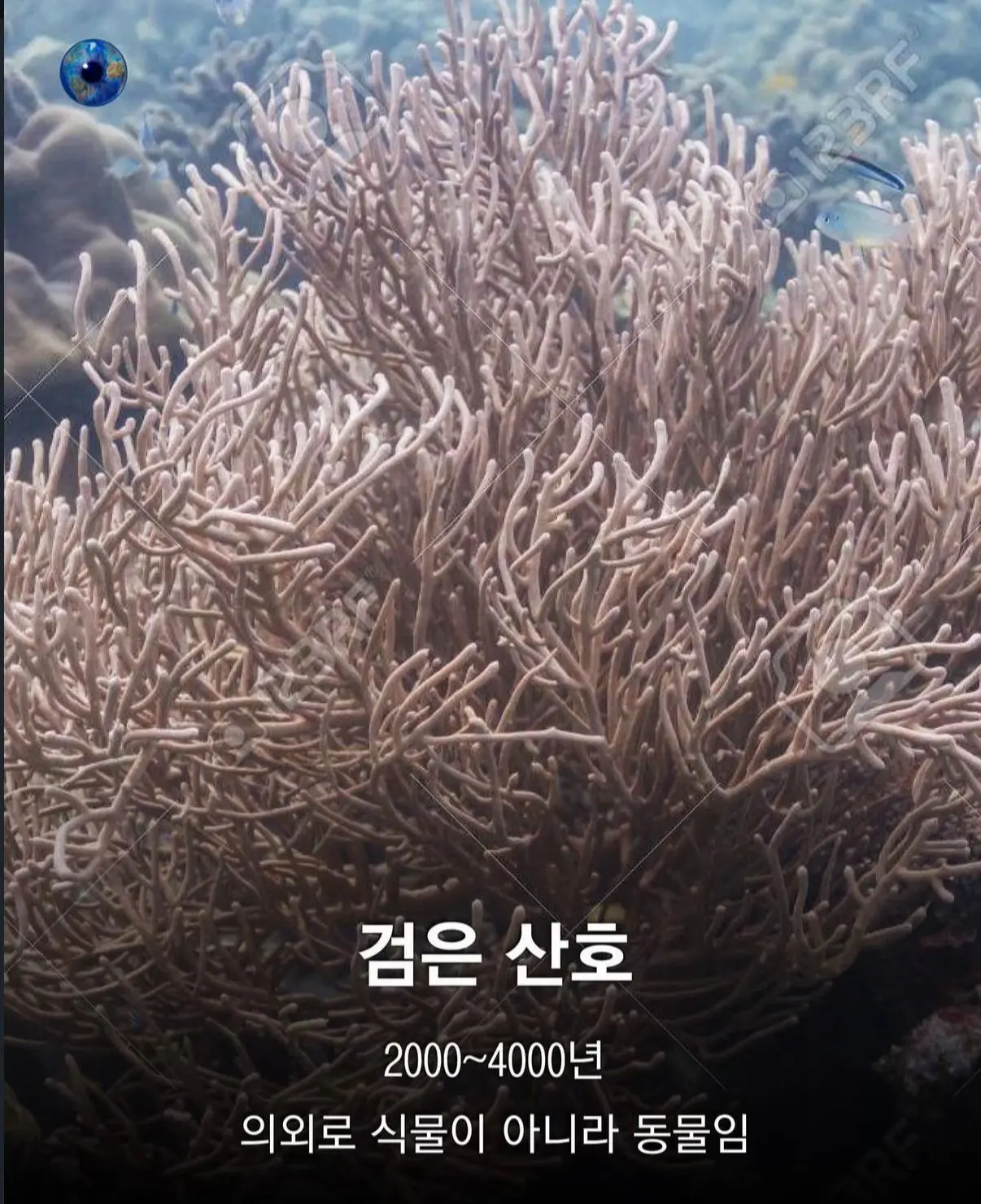 AhaTok_eartheye.kr_9c2956ae-fab8-4309-ab6c-c45ca009632a_.jpg