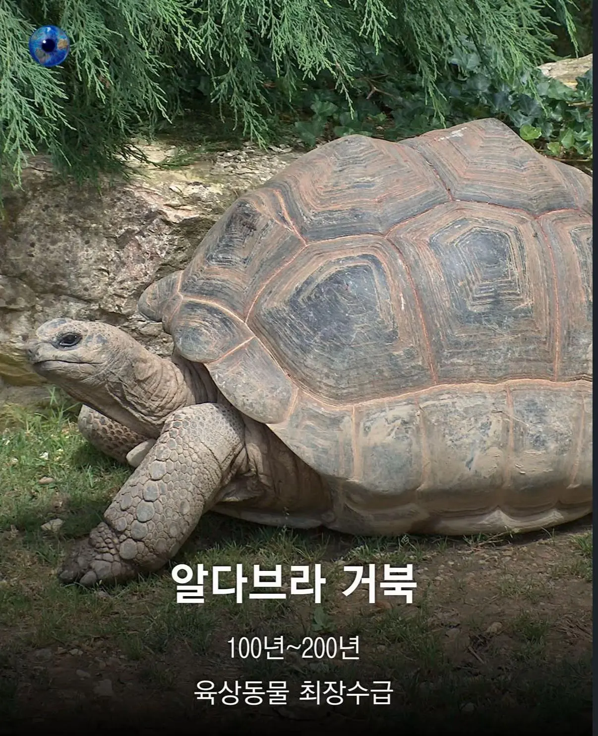 AhaTok_eartheye.kr_6a4e418a-0e62-4083-a84d-2eed8806114e_.jpg