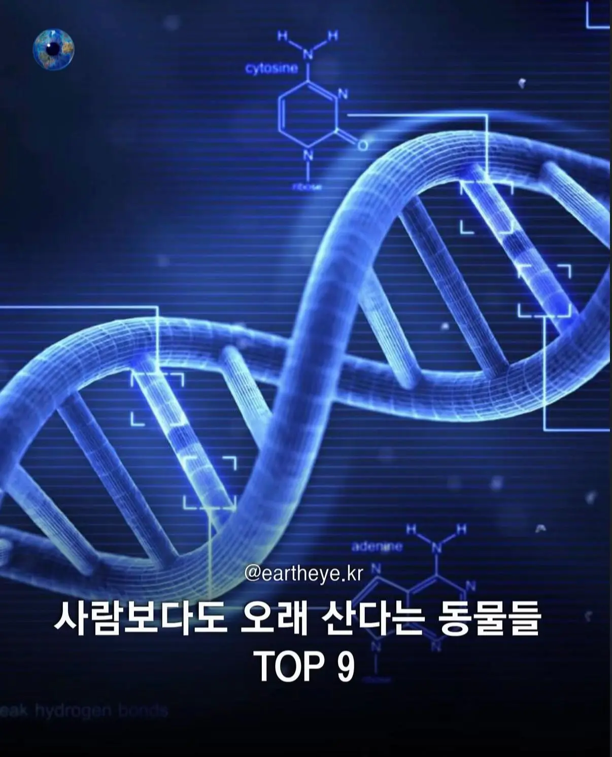 AhaTok_eartheye.kr_f90e8d8b-6899-4a58-a429-98a1fc1af858_.jpg
