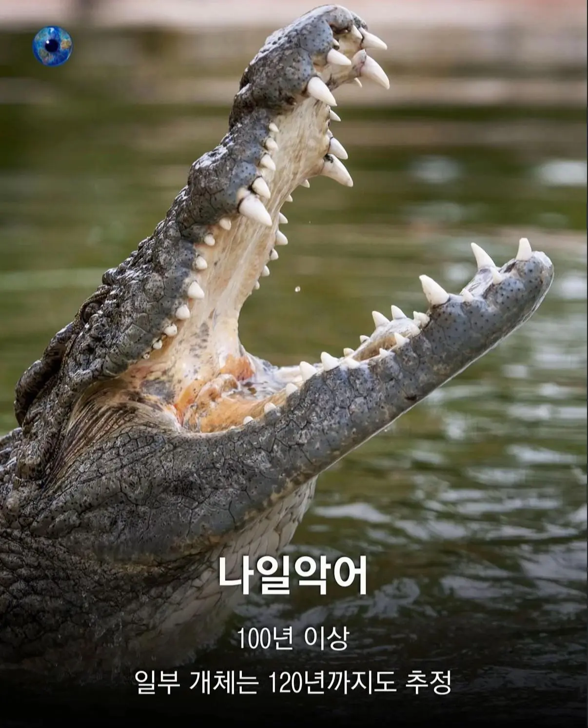 AhaTok_eartheye.kr_215c1818-c10c-46c5-b832-088c008fbbd2_.jpg