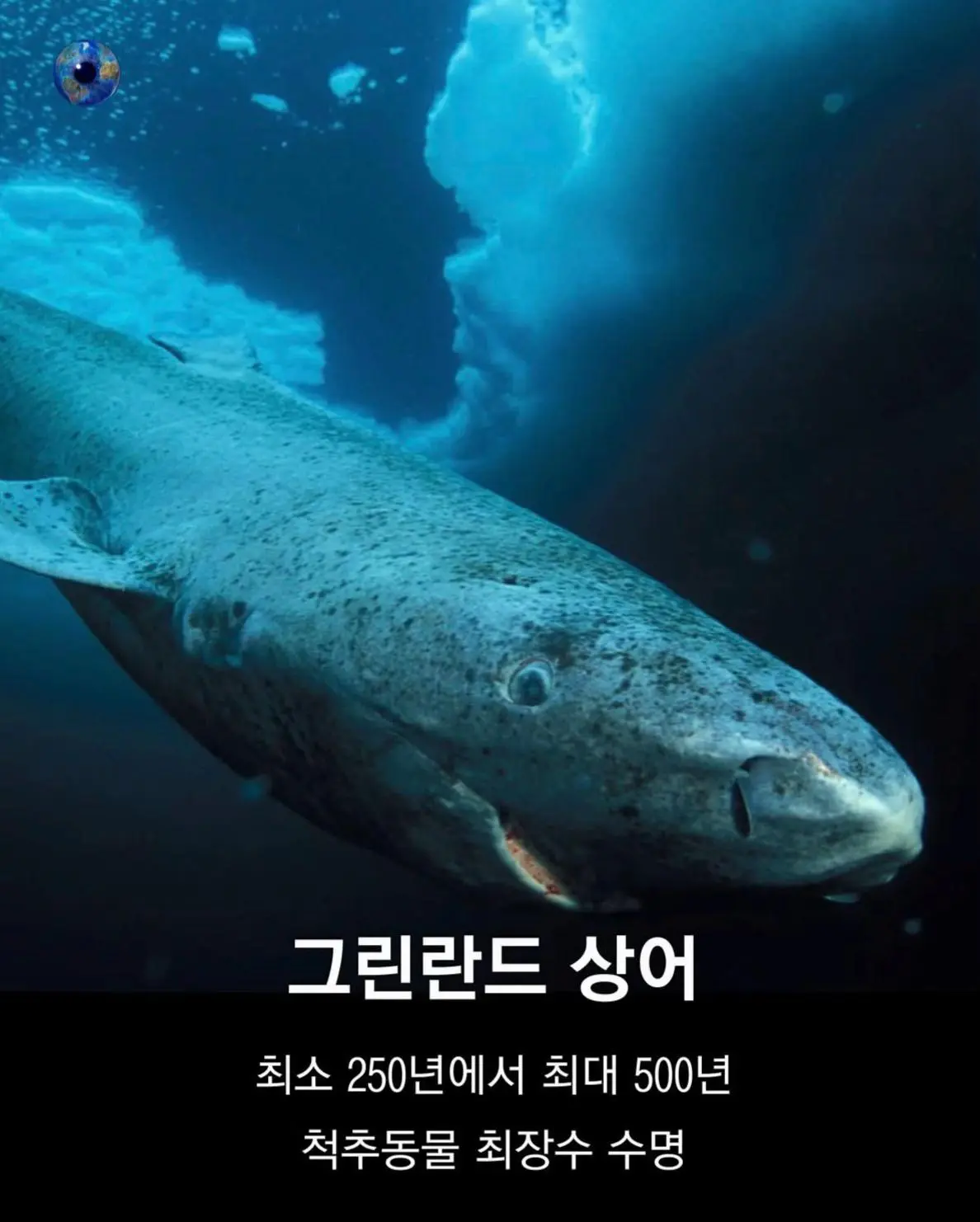 AhaTok_eartheye.kr_84fc87b1-e7f0-46a1-b8da-f88749db2660_.jpg