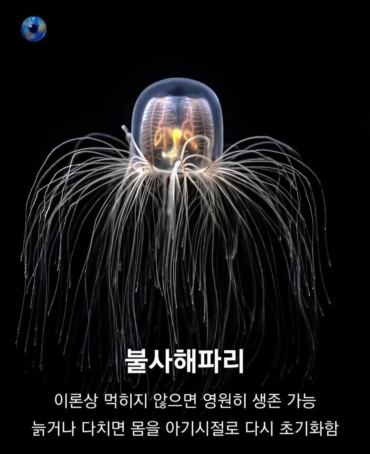 AhaTok_eartheye.kr_8ab1d044-3701-4979-af58-a003fb1f6e97_.jpg