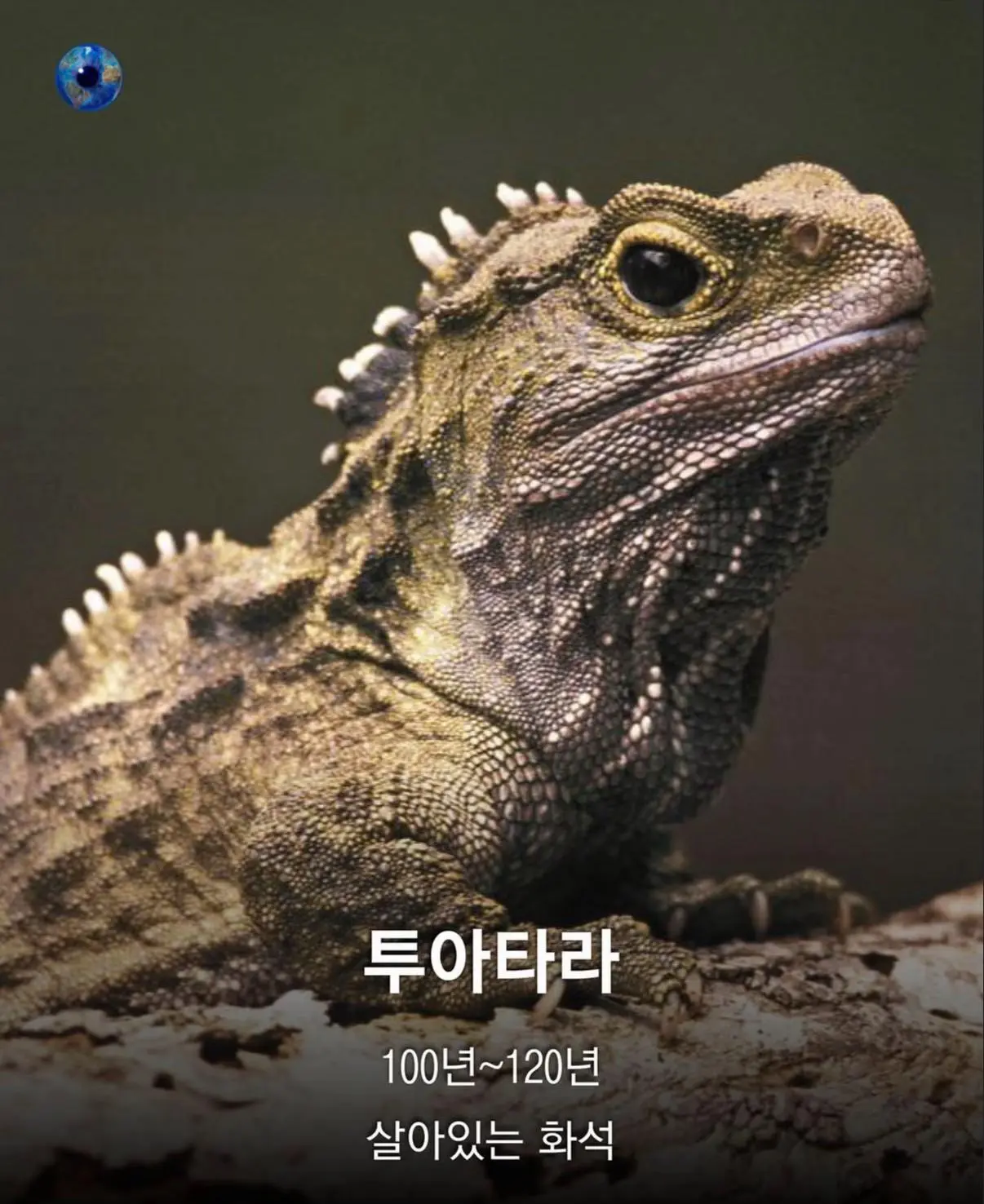 AhaTok_eartheye.kr_c65df00b-2763-4354-90ee-2fc9e83bfb7e_.jpg