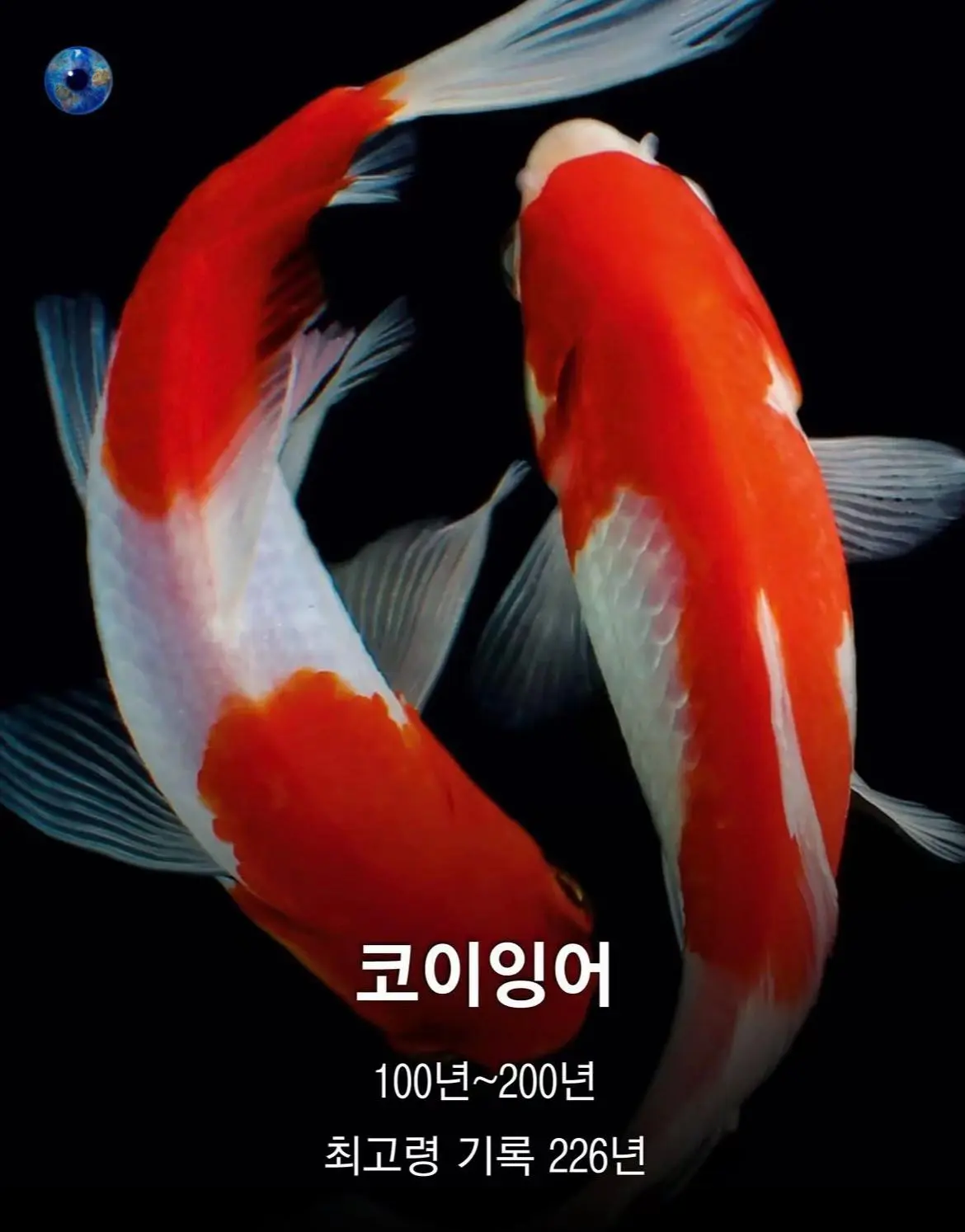 AhaTok_eartheye.kr_99b259fe-7c2b-4d08-8bc5-8e6ad2556e79_.jpg