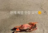 현재 폭염 한장으로 요약