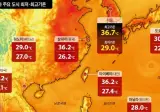 일본 열섬 대만 습도 태국 열대야 다 합친게 한국