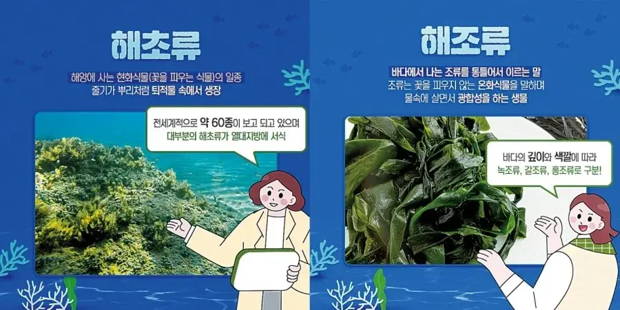 20260805213706_QRNbiMdBK2.webp