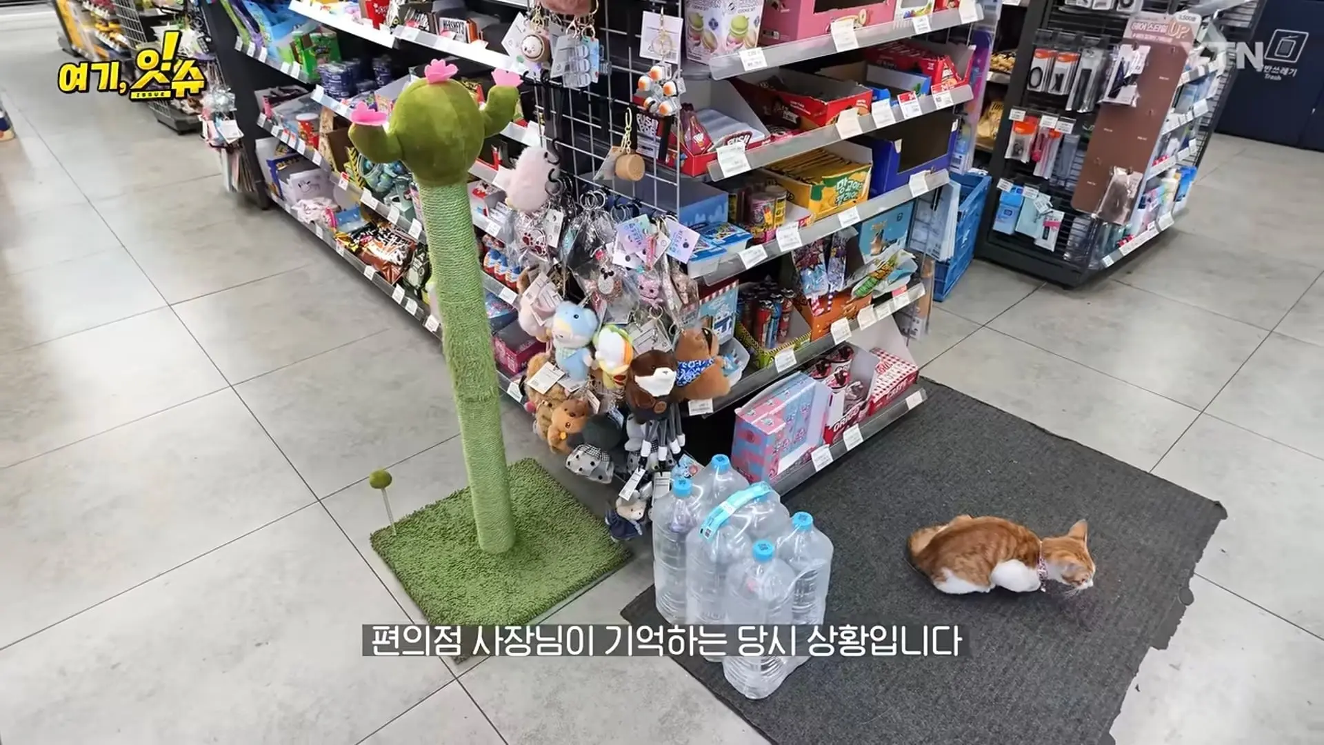 Screenshot_20260807_074656_YouTube.jpg