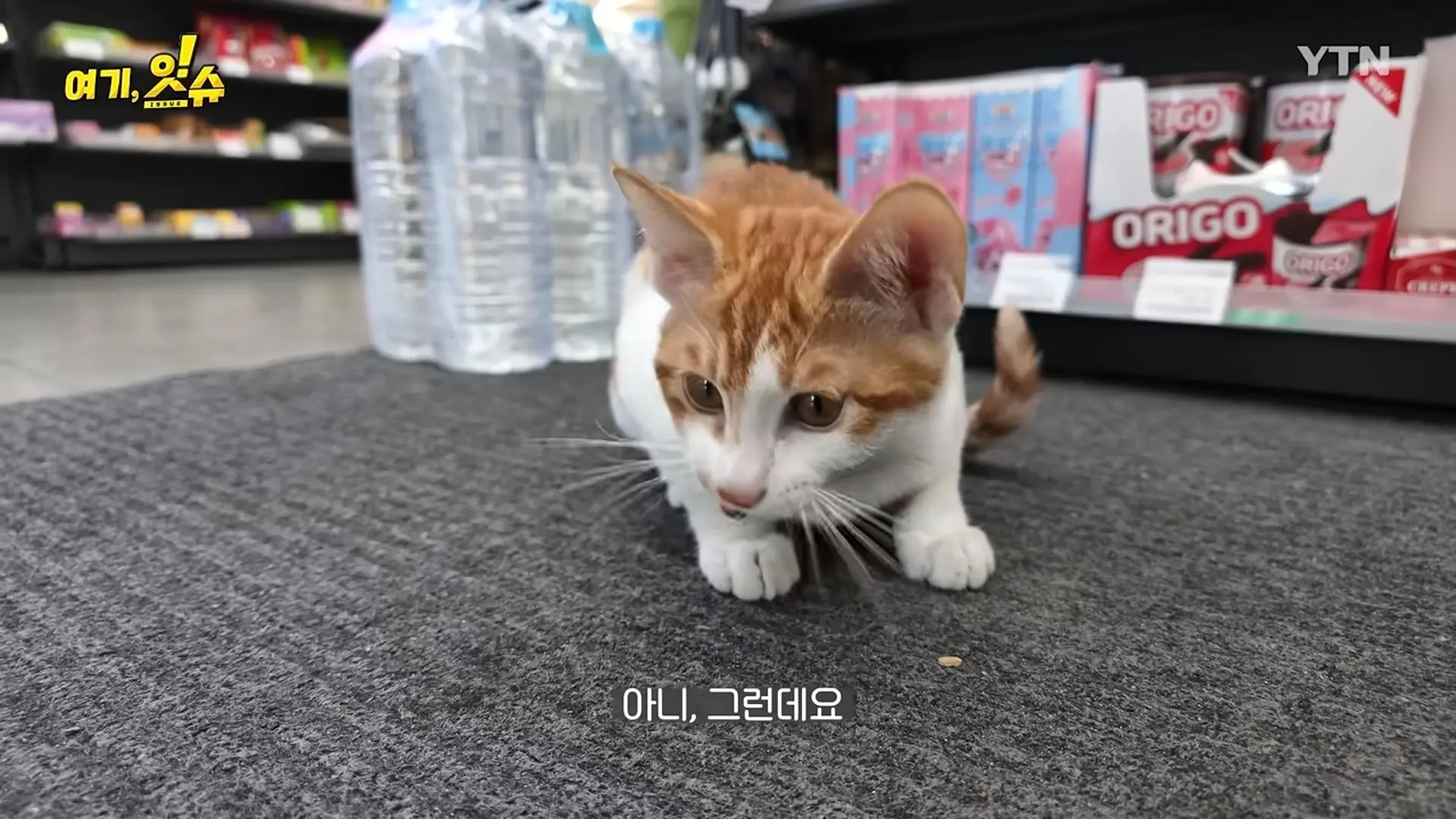 Screenshot_20260807_074806_YouTube.jpg