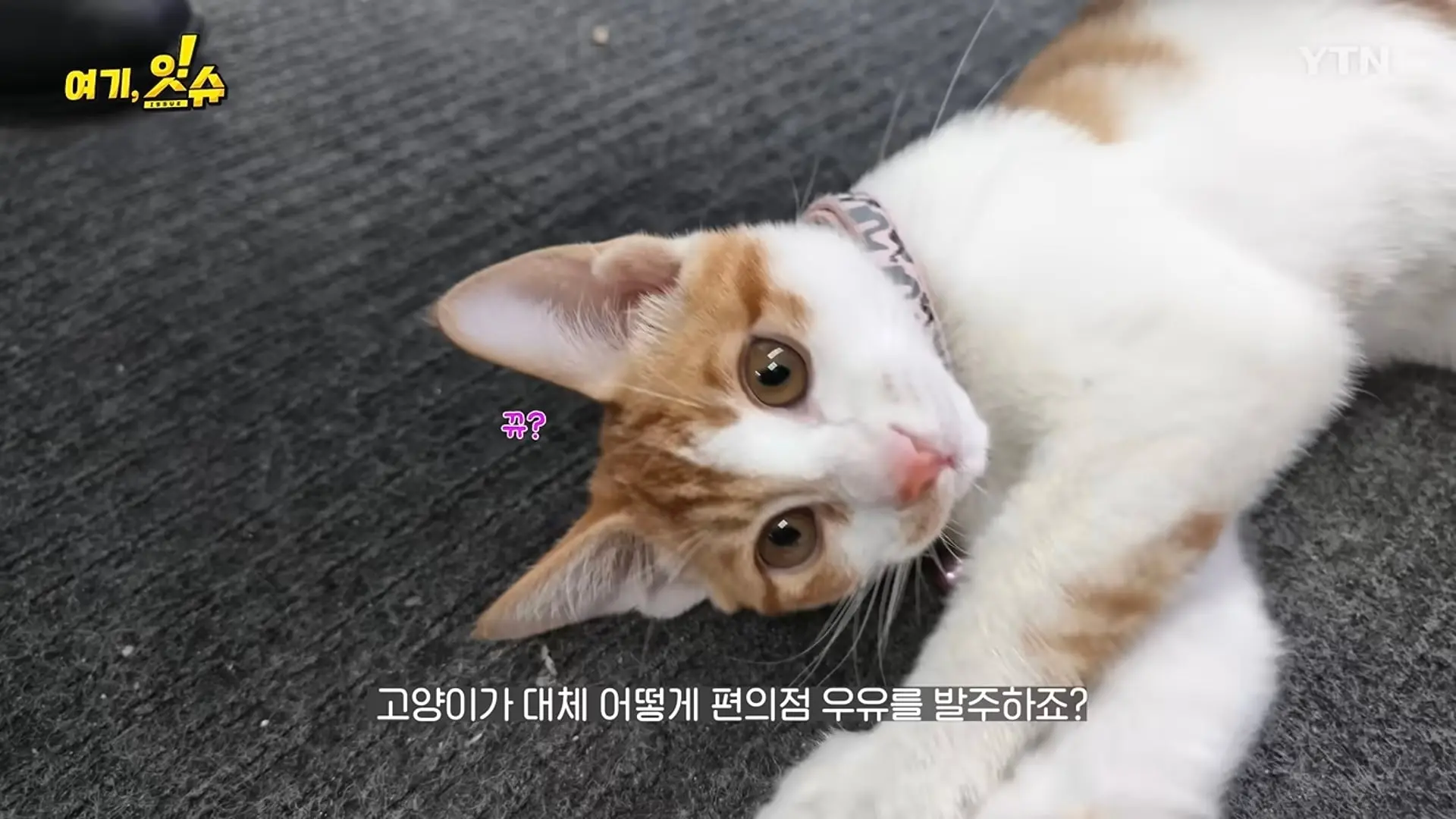 Screenshot_20260807_074819_YouTube.jpg